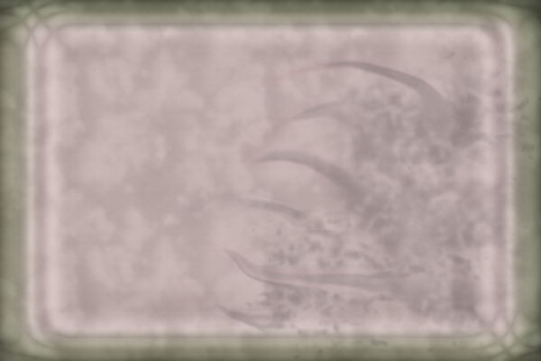 Creation of Merry Go Round: Step 2